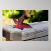 秋離れ ポスター (正面)