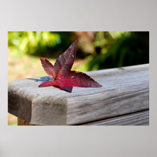 秋離れ ポスター (正面)