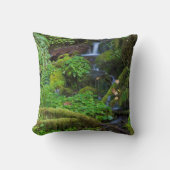 秋雨林 |オリンピック国立公園 クッション (正面)