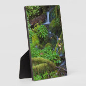 秋雨林 |オリンピック国立公園 フォトプラーク (側面)