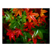 秋雨 ポスター (正面)