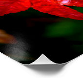 秋雨 ポスター (コーナー)