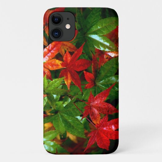 秋雨 Case-Mate iPhoneケース (裏面)