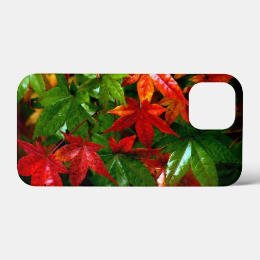 秋雨 Case-Mate iPhoneケース (裏面 (横))