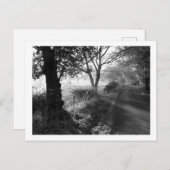 秋霜のチェシャ葉書 ポストカード (正面/裏面)