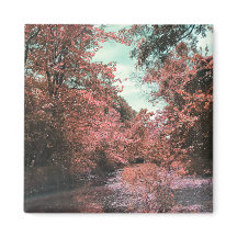 秋風光明媚なパス