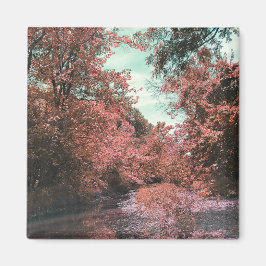 秋風光明媚なパス マグネット