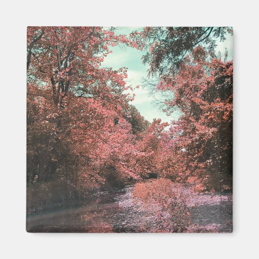 秋風光明媚なパス マグネット (正面)