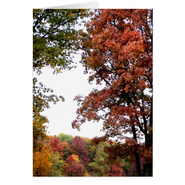 秋風景写真 (正面)