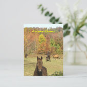 秋馬葉書 ポストカード (スタンド正面)