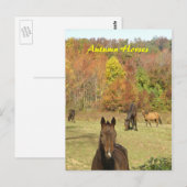 秋馬葉書 ポストカード (正面/裏面)