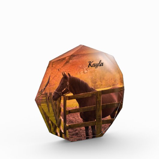 秋馬 フォトブロック (左)