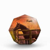 秋馬 フォトブロック (正面)