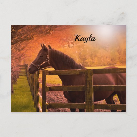 秋馬 ポストカード (正面)