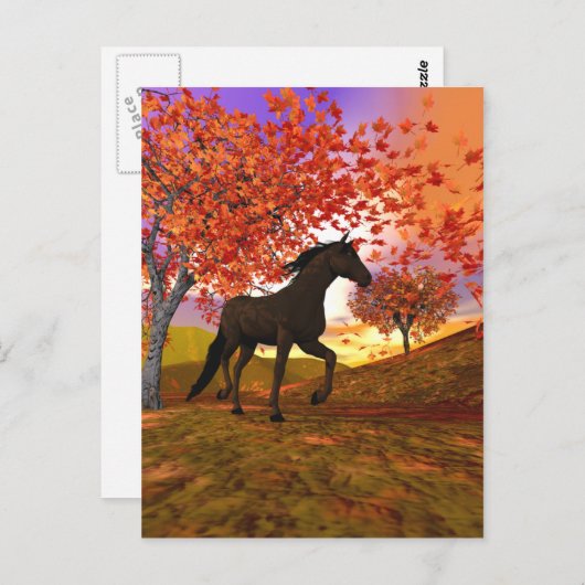 秋馬 ポストカード (正面/裏面)