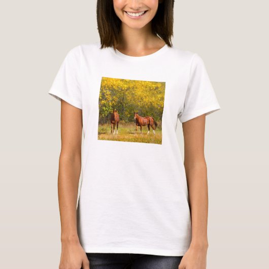 秋馬 Tシャツ (正面)