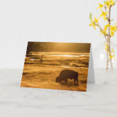 秋魚釣り カード (黄色い花)