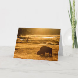 秋魚釣り カード