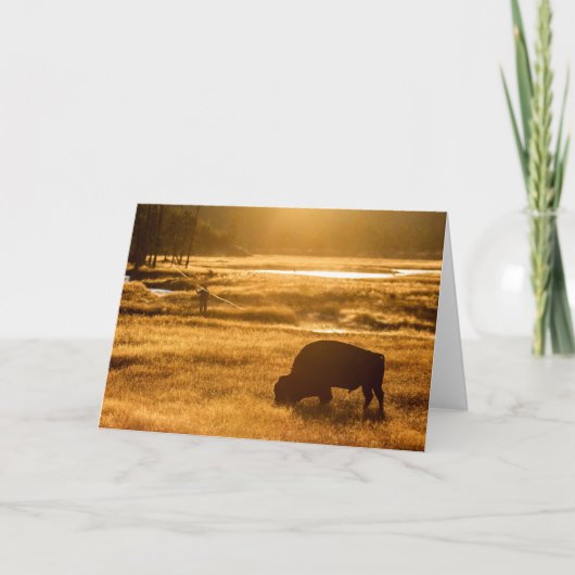 秋魚釣り カード (正面)