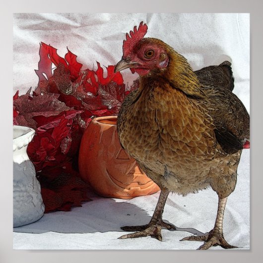 秋鶏 ポスター (正面)