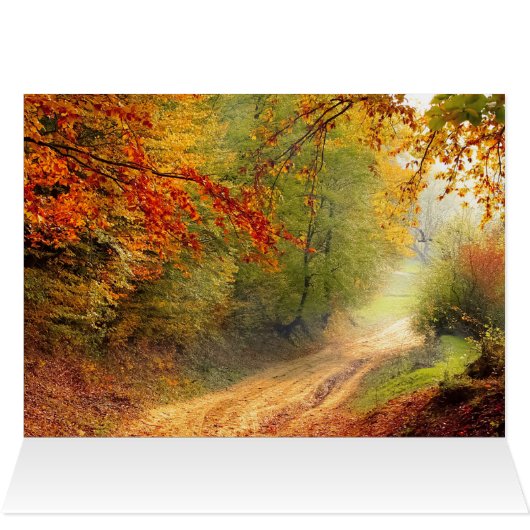 秋 (内部横(上))