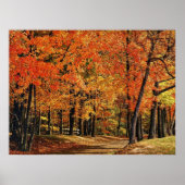 秋30日が出た ポスター (正面)