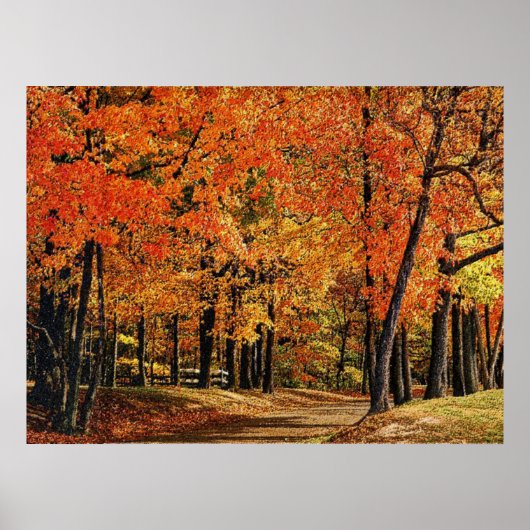 秋30日が出た ポスター (正面)