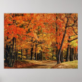 秋30 ポスター (正面)