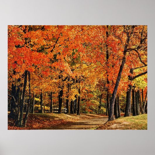 秋30 ポスター (正面)