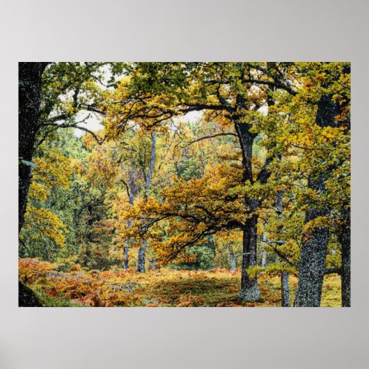 秋34 ポスター (正面)