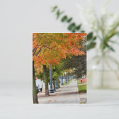 秋（アイオワ） ポストカード (スタンド正面)