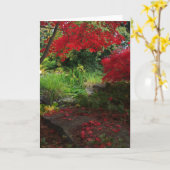 秋 カード (黄色い花)