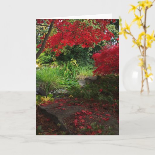 秋 カード (黄色い花)