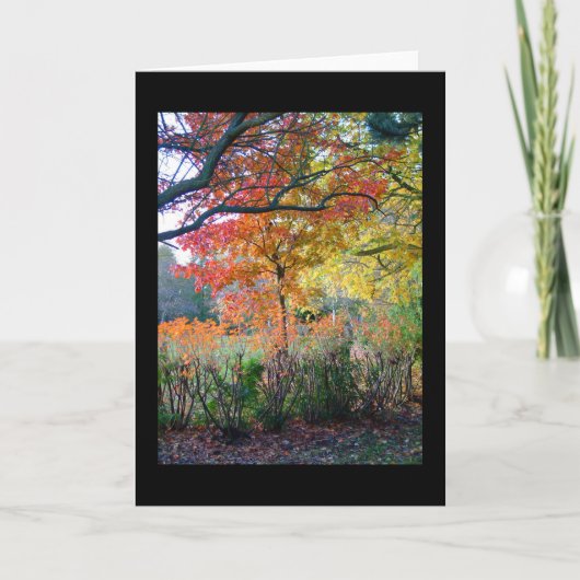 秋 カード (正面)