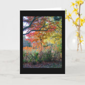 秋 カード (黄色い花)