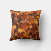 秋 クッション (裏面)