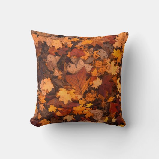 秋 クッション (正面)