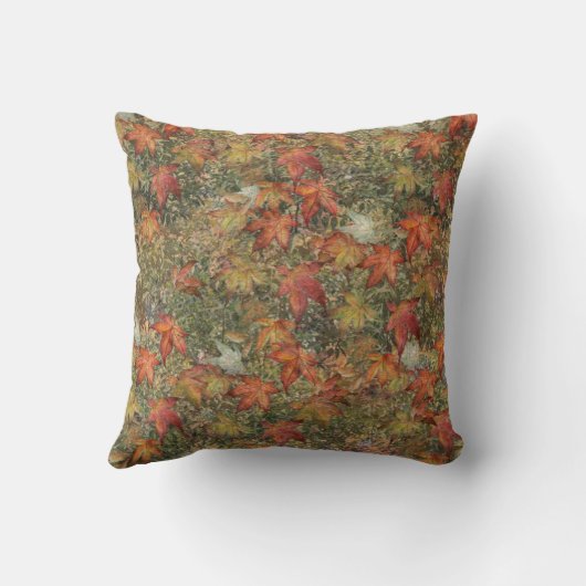 秋 クッション (裏面)