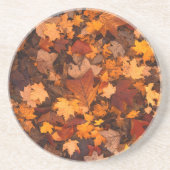 秋 コースター (正面)