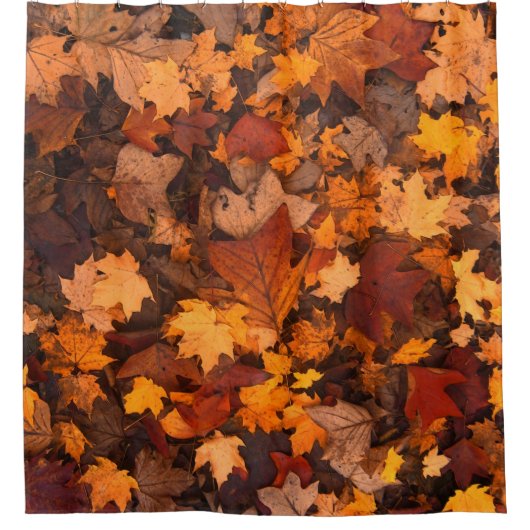 秋 シャワーカーテン (正面)