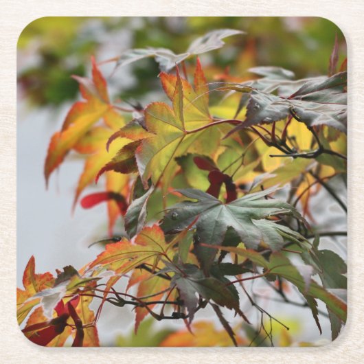 秋 スクエアペーパーコースター (正面)