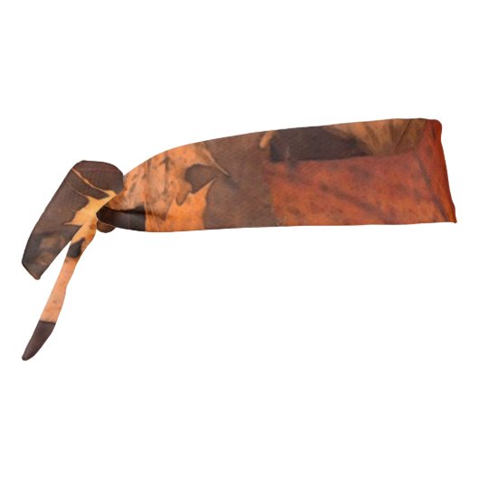 秋 タイヘッドバンド (回転270)