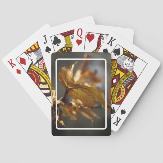 秋 トランプ (裏面)