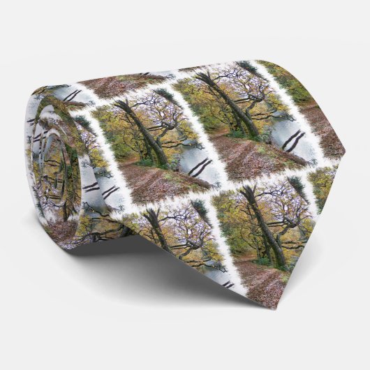 秋 ネクタイ (ロール)