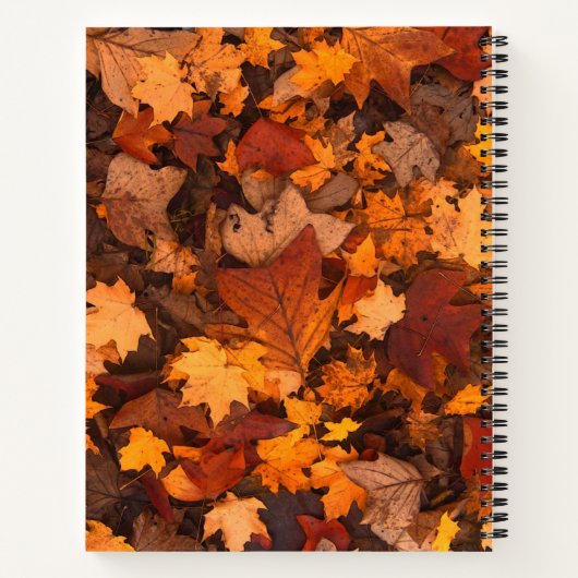 秋 ノートブック (裏面)