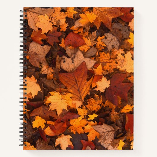秋 ノートブック (正面)