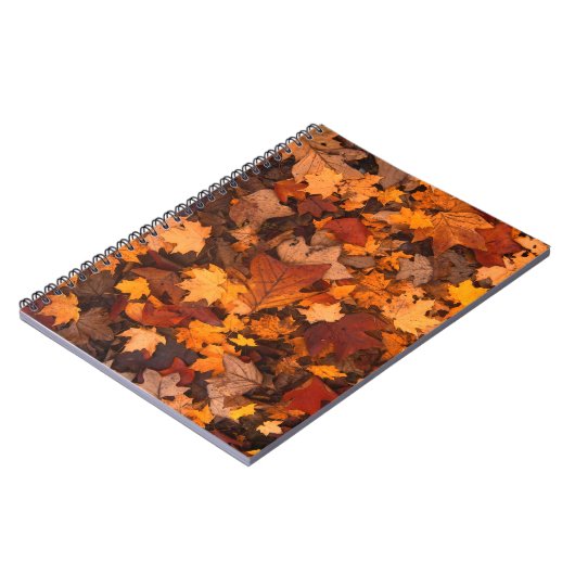 秋 ノートブック (左側)