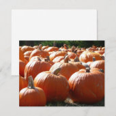 秋、ハロウィーン、感謝祭のカボチャの写真 (正面/裏面)