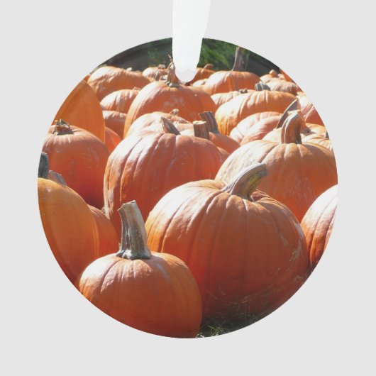 秋、ハロウィーン、感謝祭のカボチャの写真 オーナメント (正面)