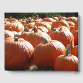 秋、ハロウィーン、感謝祭のカボチャの写真 ゲストブック (裏面)